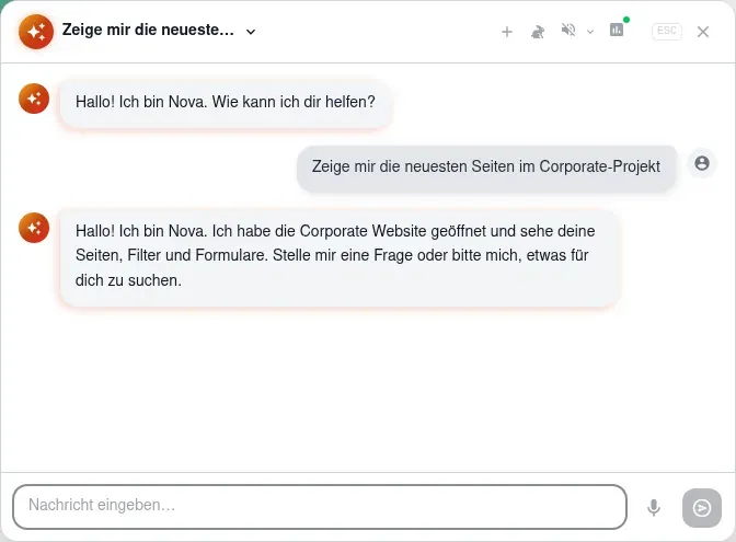 Geöffneter Nova-Chat mit Begrüßung, Frage und Antwort im Corporate-Projekt